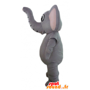 Maskotti harmaa elefantti, täysin muokattavissa - MASFR22899 - Elephant Mascot