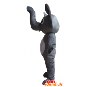 Mascot grauen und weißen Elefanten, Witzige, originelle - MASFR22902 - Elefant-Maskottchen