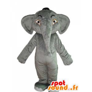 Grå elefant maskot, sød og imponerende - Spotsound maskot