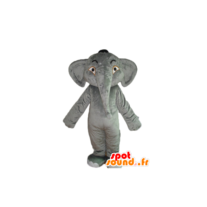 Grå elefantmaskot, söt och imponerande - Spotsound maskot