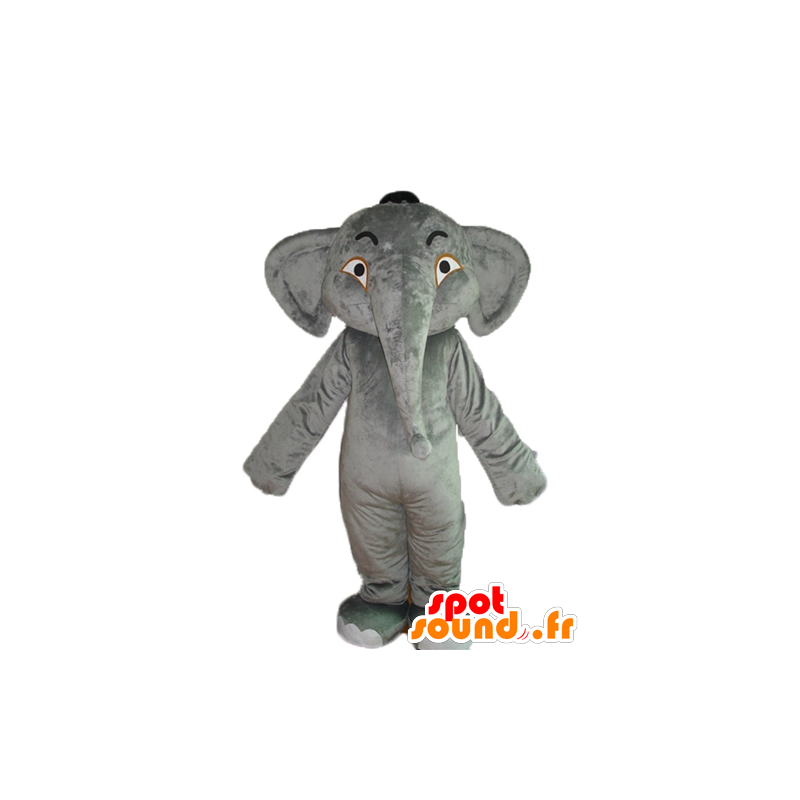 Mascotte d'éléphant gris, doux et impressionnant - MASFR22906 - Mascottes Elephant