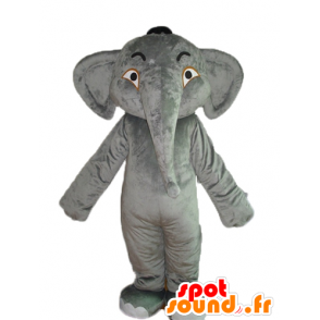 Mascot elefantti harmaa, pehmeä ja vaikuttava - MASFR22906 - Elephant Mascot