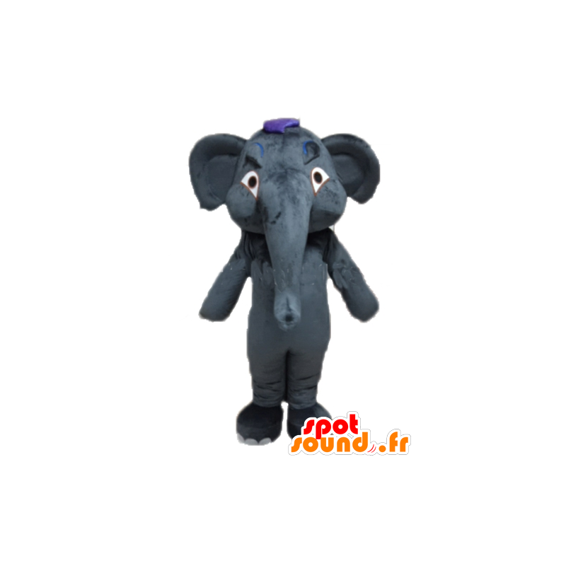 Mascot grijze olifant, reus en volledig aanpasbaar - MASFR22914 - Elephant Mascot