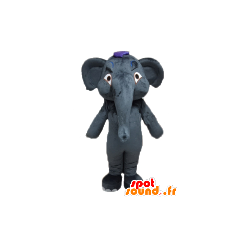 Mascotte grigio elefante, gigante e completamente personalizzabile - MASFR22914 - Mascotte elefante