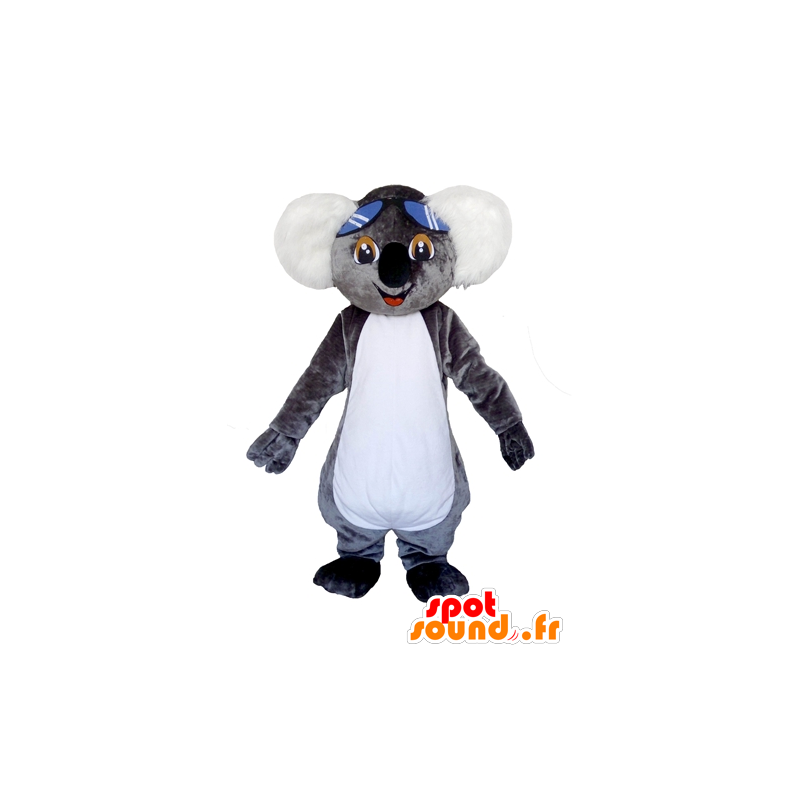 Gris de la mascota y el koala blanco, muy lindo con gafas - MASFR22992 - Mascotas Koala