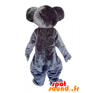 Maskottchen-Grau und Weiß koala, sehr nett mit Brille - MASFR22992 - Maskottchen Koala