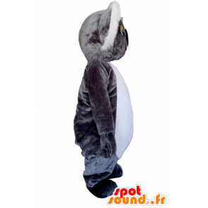 Mascot grijze en witte koala, heel schattig met een bril - MASFR22992 - Koala Mascottes