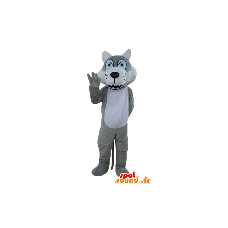 Lupo mascotte grigio e bianco, con gli occhi azzurri - MASFR22997 - Mascotte lupo