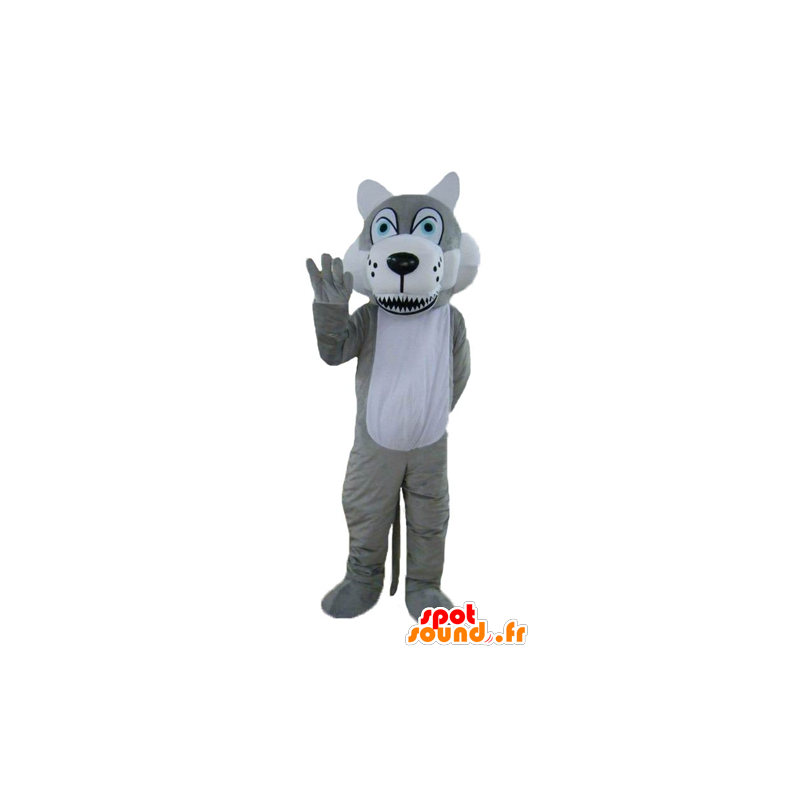 Mascotte de loup gris et blanc, aux yeux bleus - MASFR22997 - Mascottes Loup