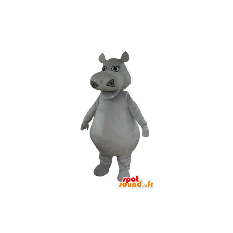 Mascot big gray hippopotamus, plump and cute - MASFR23005 - Mascots hippopotamus