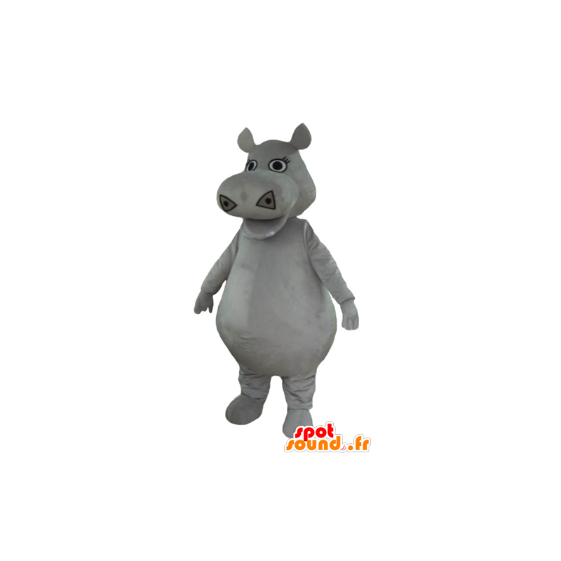 Mascot gran hipopótamo gris, regordeta y lindo - MASFR23005 - Hipopótamo de mascotas