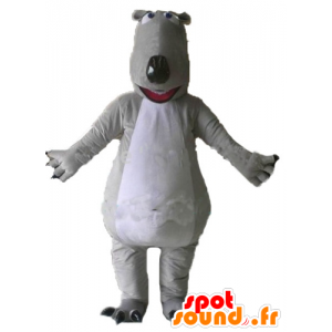 Mascot gray and white bears, giant and impressive - MASFR23007 - Bear mascot