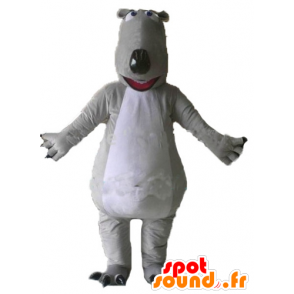 Mascot gray and white bears, giant and impressive - MASFR23007 - Bear mascot