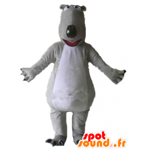 Mascote cinza e urso branco, gigante e impressionante - MASFR23007 - mascote do urso