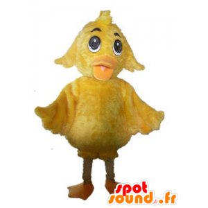Chick Mascot obří žluté, sladké a šikovný - MASFR23016 - Maskot Slepice - Roosters - Chickens