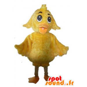 Pintainho da mascote gigante amarelo, doce e bonito - MASFR23016 - Mascote Galinhas - galos - Galinhas