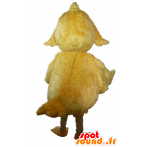 Chick Mascotte gigante giallo, dolce e carino - MASFR23016 - Mascotte di galline pollo gallo