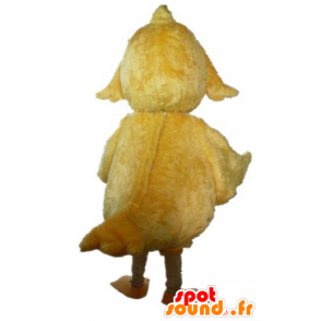 Chick Mascot gigantisk gul, søt og søt - MASFR23016 - Mascot Høner - Roosters - Chickens