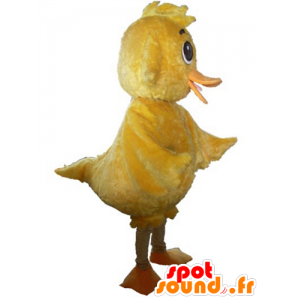 Kæmpe gul kyllingemaskot, sød og sød - Spotsound maskot kostume