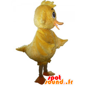 Mascotte de poussin jaune géant, doux et mignon - MASFR23016 - Mascotte de Poules - Coqs - Poulets