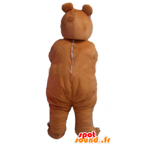 Mascot brown bears, plump and cute - MASFR23020 - Bear mascot