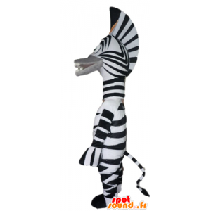 Maskot af den berømte zebra Marty fra tegneserien Madagaskar -