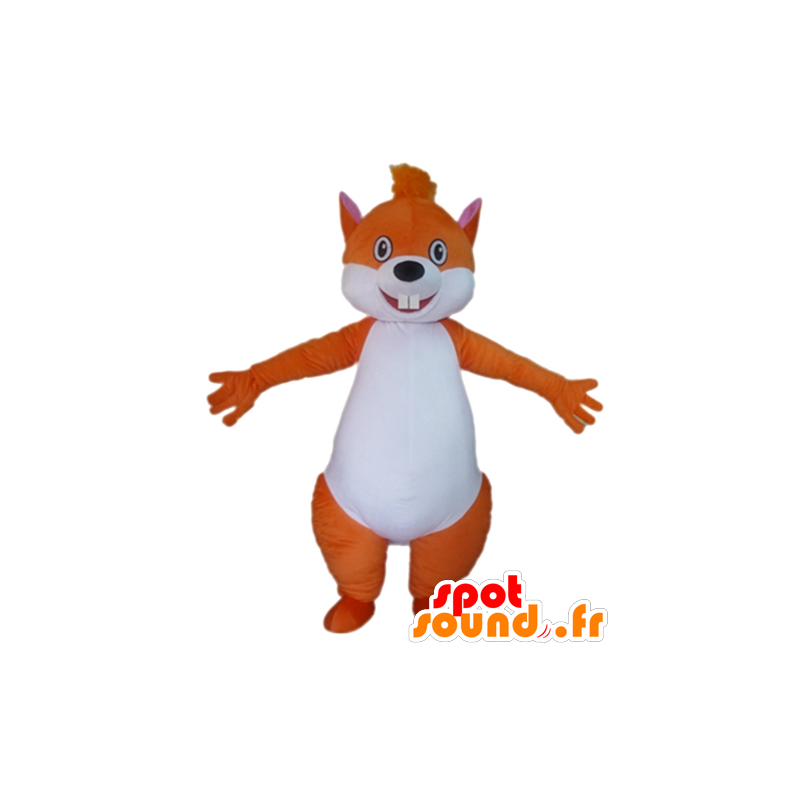 Großhandelsmaskottchen orange und weiße Eichhörnchen - MASFR23028 - Maskottchen Eichhörnchen