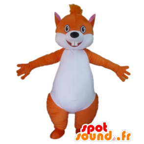 Commercio all'ingrosso arancione mascotte e bianco scoiattolo - MASFR23028 - Scoiattolo mascotte