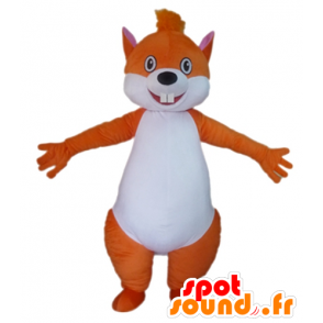 Mascotte de gros écureuil orange et blanc - MASFR23028 - Mascottes Ecureuil