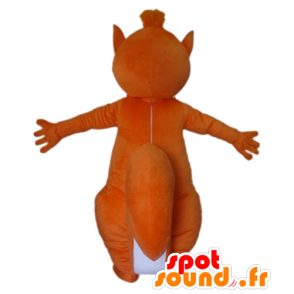 Duży pomarańczowy i biały maskotka wiewiórka - MASFR23028 - maskotki Squirrel