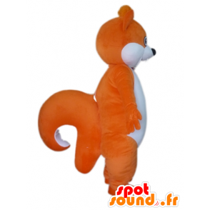 Duży pomarańczowy i biały maskotka wiewiórka - MASFR23028 - maskotki Squirrel