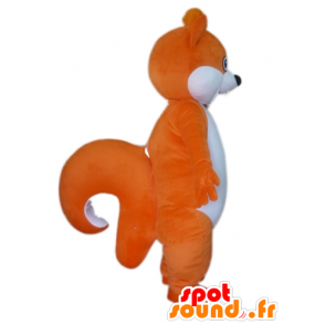 Mascotte de gros écureuil orange et blanc - MASFR23028 - Mascottes Ecureuil