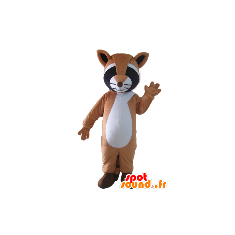 Mascot tricolor raccoon, brown, black and white - MASFR23038 - Mascots of pups