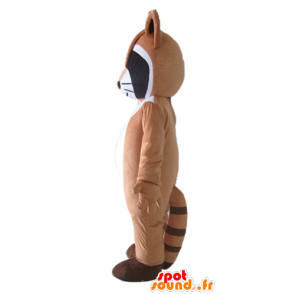 Mascot tricolor raccoon, brown, black and white - MASFR23038 - Mascots of pups