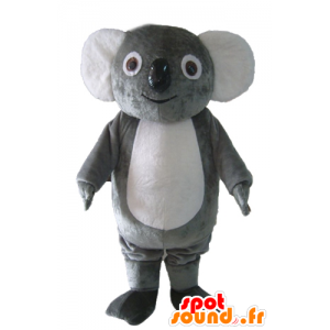 Mascot grå og hvit koala, lubben, søt og morsom - MASFR23039 - koala Maskoter