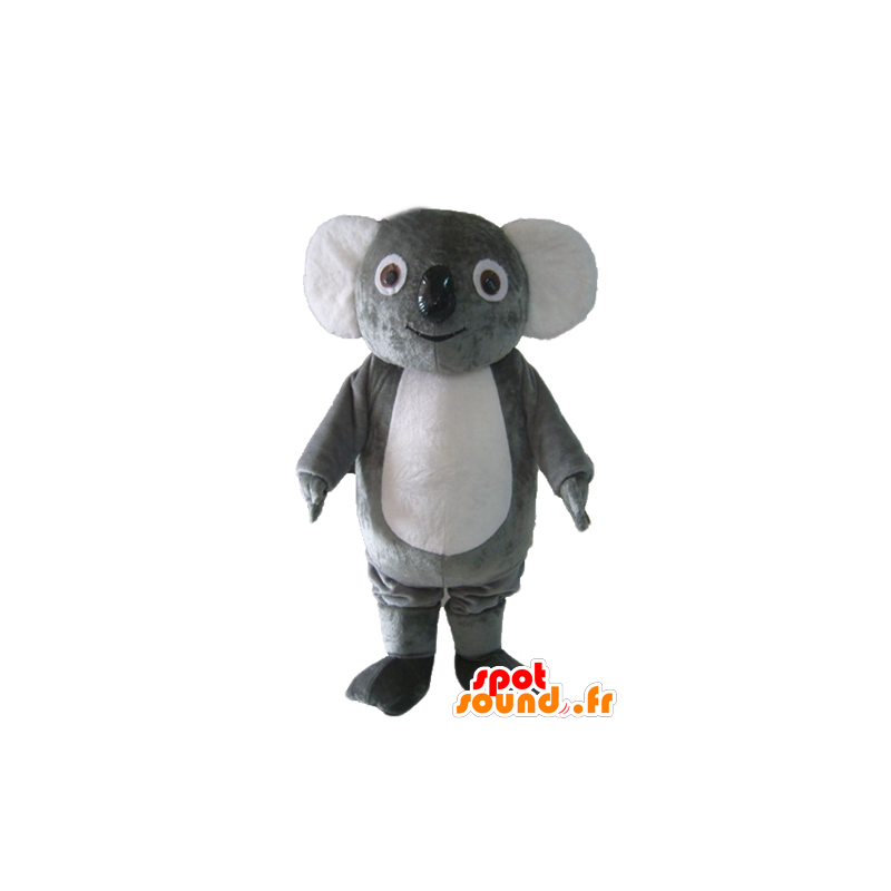 Koala Mascotte grigio e bianco, paffuto, dolce e divertente - MASFR23039 - Mascotte Koala