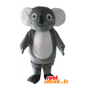 Mascot grijze en witte koala, mollig, lief en grappig - MASFR23039 - Koala Mascottes