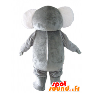 Mascot koala grau und weiß, prall, süß und lustig - MASFR23039 - Maskottchen Koala