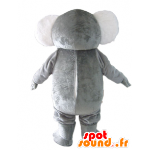 Mascot koala gray and white, plump, sweet and funny - MASFR23039 - Mascots Koala