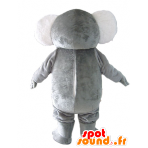 Mascot koala gris y blanco, regordete, dulce y divertido - MASFR23039 - Mascotas Koala