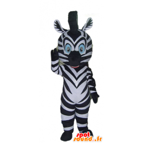 Zebra mascot black and white, with blue eyes - MASFR23050 - The jungle animals