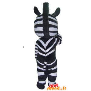 Maskotka Zebra czarno-biały z niebieskimi oczami - MASFR23050 - Jungle zwierzęta