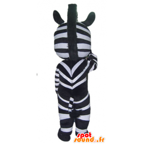 Zebra mascot black and white, with blue eyes - MASFR23050 - The jungle animals