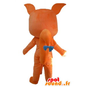 Mascote de laranja e de raposa branca, bonito e agradável - MASFR23058 - Fox Mascotes