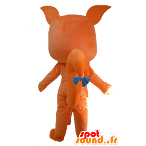 Arancio mascotte e volpe bianca, carino e accattivante - MASFR23058 - Mascotte Fox