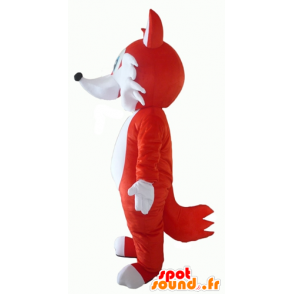 Orange und weiße Fuchs Maskottchen, blauäugigen - MASFR23059 - Maskottchen-Fox