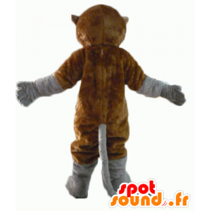 Mascot bruin en grijs aap met een lange staart - MASFR23065 - Monkey Mascottes