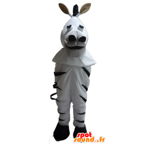 Zebra mascot black and white, very realistic - MASFR23092 - The jungle animals