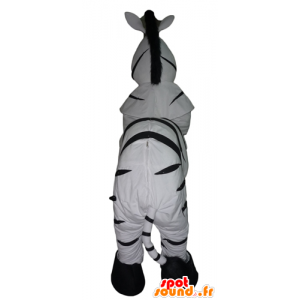 Zebra mascot black and white, very realistic - MASFR23092 - The jungle animals