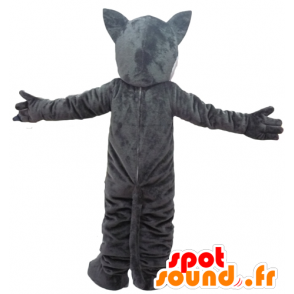 Riesen-Wolf-Maskottchen, grau und weiß - MASFR23093 - Maskottchen-Wolf